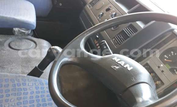 Buy Import Man M2000 White Truck in Maltahohe in Hardap Buy Import Man M2000 White Truck in Maltahohe in Hardap