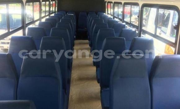 Buy Used Hino 300 Series White Truck in Windhoek in Namibia Buy Used Hino 300 Series White Truck in Windhoek in Namibia