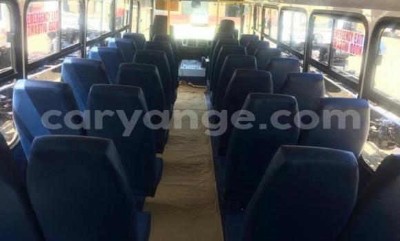 Buy Used Hino 300 Series White Truck in Windhoek in Namibia Buy Used Hino 300 Series White Truck in Windhoek in Namibia