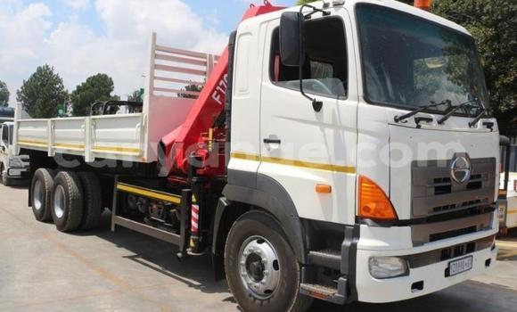 Buy Used Hino 300 Series White Truck in Windhoek in Namibia