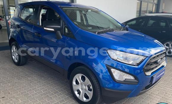Buy Used Ford EcoSport Blue Car in Karasburg in Karas