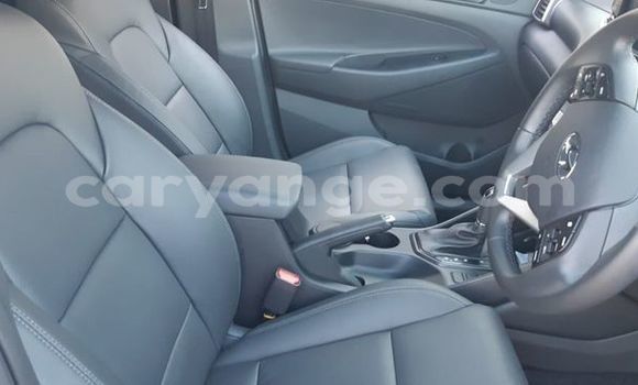 Buy Used Hyundai Tucson Blue Car in Windhoek in Namibia Buy Used Hyundai Tucson Blue Car in Windhoek in Namibia