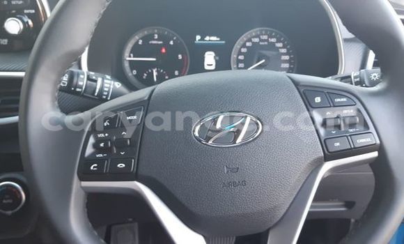 Buy Used Hyundai Tucson Blue Car in Windhoek in Namibia Buy Used Hyundai Tucson Blue Car in Windhoek in Namibia