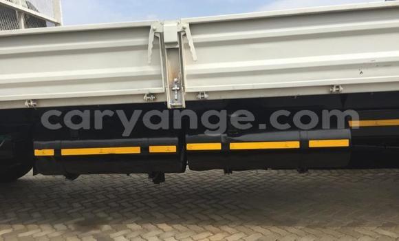 Acheter Occasion Utilitaire Hino Ranger Blanc à Warmbad, Karas Acheter Occasion Utilitaire Hino Ranger Blanc à Warmbad, Karas