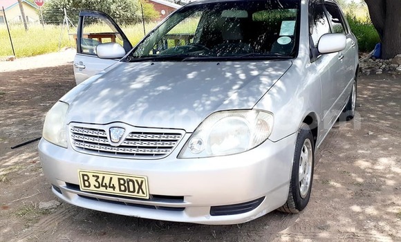 Buy Used Toyota Runx Silver Car in Windhoek in Namibia