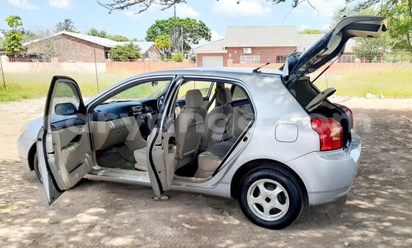 Buy Used Toyota Runx Silver Car in Windhoek in Namibia Buy Used Toyota Runx Silver Car in Windhoek in Namibia