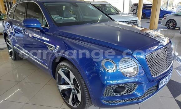 Buy Used Bentley Bentayga Blue Car in Gobabis in Omaheke Buy Used Bentley Bentayga Blue Car in Gobabis in Omaheke