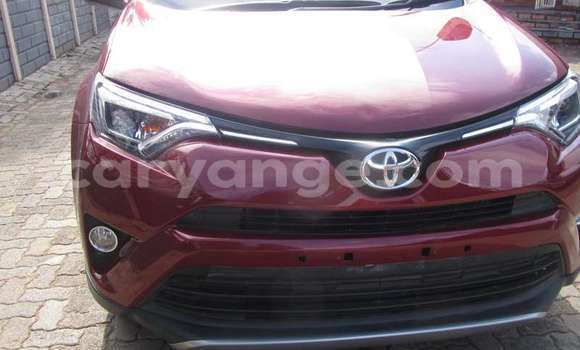 Buy Used Toyota RAV4 Red Car in Walvis Bay in Namibia Buy Used Toyota RAV4 Red Car in Walvis Bay in Namibia