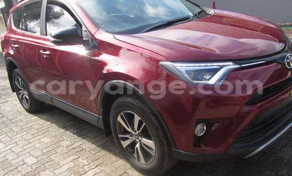 Buy Used Toyota RAV4 Red Car in Walvis Bay in Namibia Buy Used Toyota RAV4 Red Car in Walvis Bay in Namibia