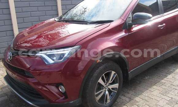 Buy Used Toyota RAV4 Red Car in Walvis Bay in Namibia Buy Used Toyota RAV4 Red Car in Walvis Bay in Namibia