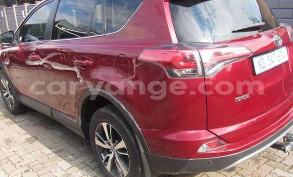 Buy Used Toyota RAV4 Red Car in Walvis Bay in Namibia Buy Used Toyota RAV4 Red Car in Walvis Bay in Namibia