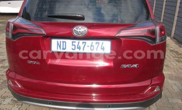 Buy Used Toyota RAV4 Red Car in Walvis Bay in Namibia Buy Used Toyota RAV4 Red Car in Walvis Bay in Namibia