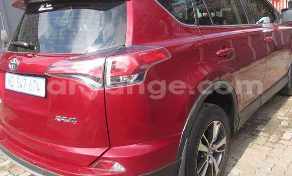Buy Used Toyota RAV4 Red Car in Walvis Bay in Namibia Buy Used Toyota RAV4 Red Car in Walvis Bay in Namibia