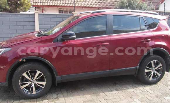 Buy Used Toyota RAV4 Red Car in Walvis Bay in Namibia Buy Used Toyota RAV4 Red Car in Walvis Bay in Namibia
