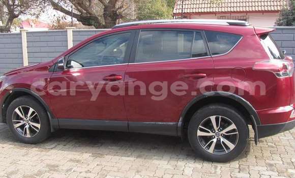 Buy Used Toyota RAV4 Red Car in Walvis Bay in Namibia Buy Used Toyota RAV4 Red Car in Walvis Bay in Namibia
