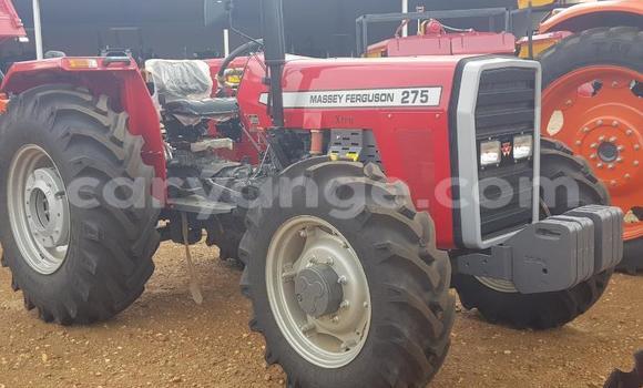 Buy Used Caterpillar 120 Red Truck in Windhoek in Namibia Buy Used Caterpillar 120 Red Truck in Windhoek in Namibia