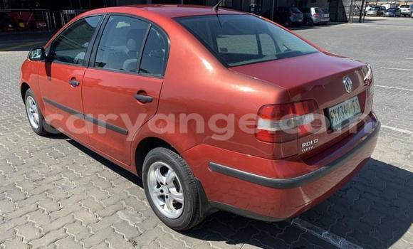 Acheter Occasion Voiture Volkswagen Polo Autre à Gobabis, Omaheke Acheter Occasion Voiture Volkswagen Polo Autre à Gobabis, Omaheke