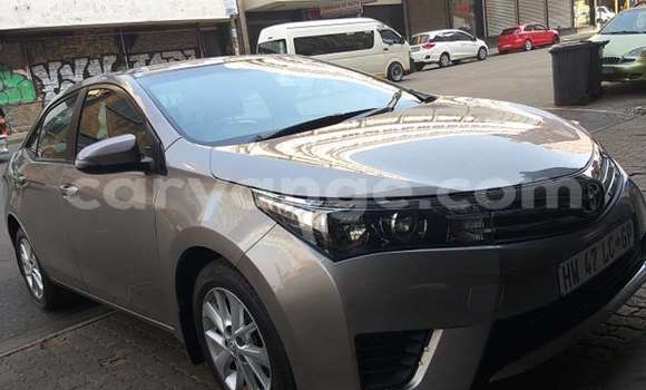 Buy Used Toyota Corolla Other Car in Windhoek in Namibia