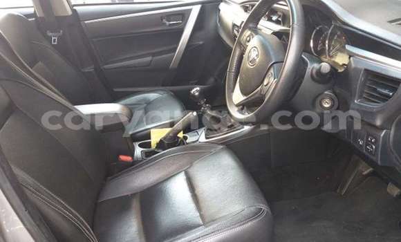 Acheter Occasion Voiture Toyota Corolla Autre à Windhoek, Namibie Acheter Occasion Voiture Toyota Corolla Autre à Windhoek, Namibie