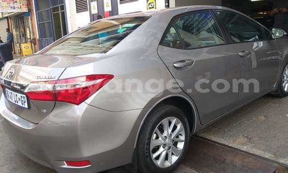 Acheter Occasion Voiture Toyota Corolla Autre à Windhoek, Namibie Acheter Occasion Voiture Toyota Corolla Autre à Windhoek, Namibie