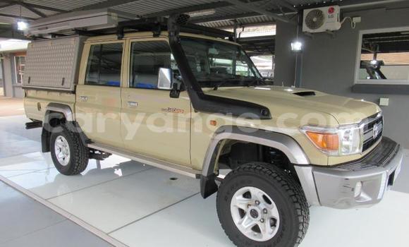 Buy Used Toyota Land Cruiser Other Car in Grootfontein in Namibia