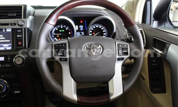 Acheter Occasion Voiture Toyota Land Cruiser Prado Gris à Windhoek, Namibie Acheter Occasion Voiture Toyota Land Cruiser Prado Gris à Windhoek, Namibie