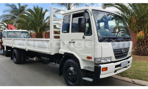 Buy Used Nissan UD White Truck in Grootfontein in Namibia