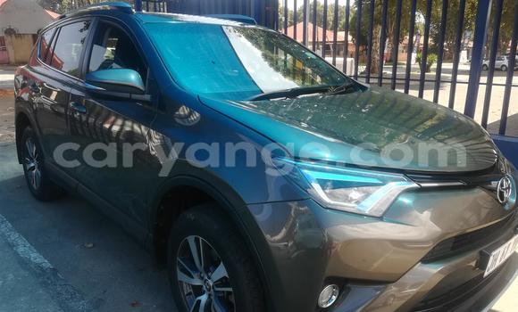 Buy Used Toyota RAV4 Other Car in Gobabis in Omaheke