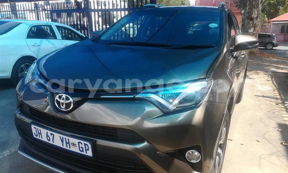 Buy Used Toyota RAV4 Other Car in Gobabis in Omaheke Buy Used Toyota RAV4 Other Car in Gobabis in Omaheke