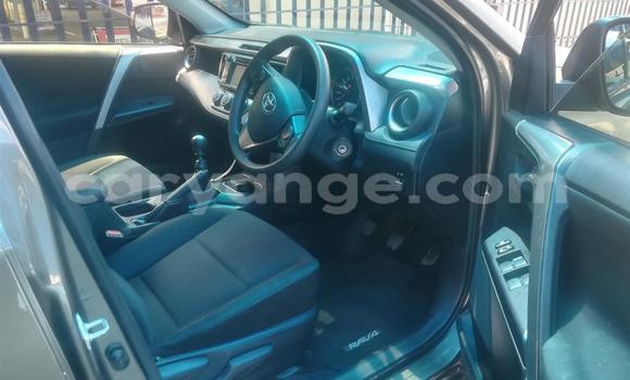 Buy Used Toyota RAV4 Other Car in Gobabis in Omaheke Buy Used Toyota RAV4 Other Car in Gobabis in Omaheke