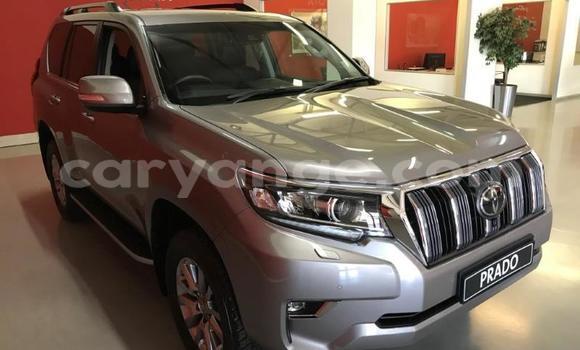 Buy New Toyota Land Cruiser Prado Silver Car in Windhoek in Namibia Buy New Toyota Land Cruiser Prado Silver Car in Windhoek in Namibia