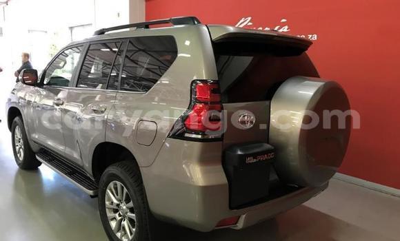 Buy New Toyota Land Cruiser Prado Silver Car in Windhoek in Namibia Buy New Toyota Land Cruiser Prado Silver Car in Windhoek in Namibia