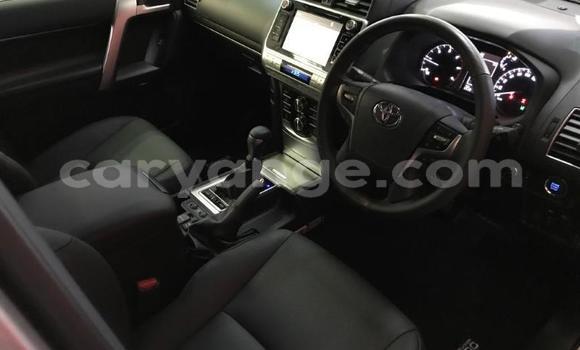 Buy New Toyota Land Cruiser Prado Silver Car in Windhoek in Namibia Buy New Toyota Land Cruiser Prado Silver Car in Windhoek in Namibia