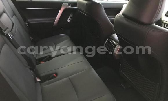 Buy New Toyota Land Cruiser Prado Silver Car in Windhoek in Namibia Buy New Toyota Land Cruiser Prado Silver Car in Windhoek in Namibia