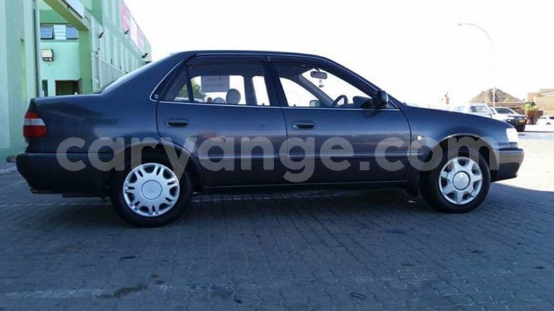 Big with watermark 24232301 2050220945211250 3380711595083633302 n