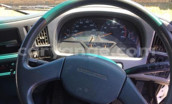 Buy Used Nissan UD White Truck in Grootfontein in Namibia Buy Used Nissan UD White Truck in Grootfontein in Namibia