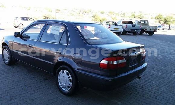 Buy Used Toyota Corolla Black Car in Windhoek in Namibia Buy Used Toyota Corolla Black Car in Windhoek in Namibia