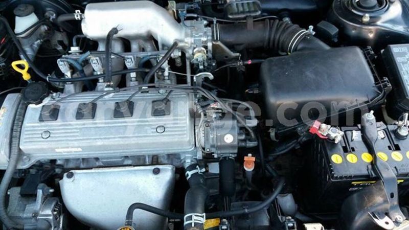 Big with watermark 24301371 2050220978544580 2610625417217181245 n