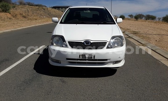 Buy Used Toyota Runx White Car in Windhoek in Namibia Buy Used Toyota Runx White Car in Windhoek in Namibia