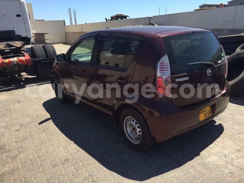 Big with watermark 24301371 2050220978544580 2610625417217181245 n