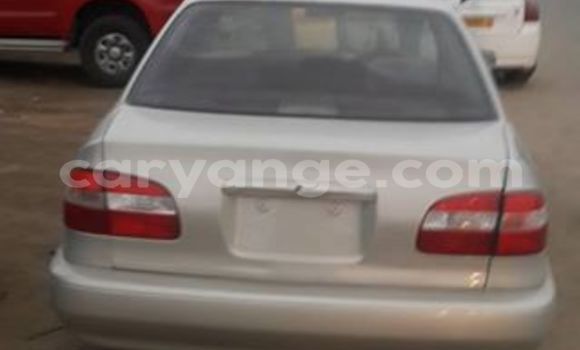 Buy Used Toyota Corolla Silver Car in Windhoek in Namibia Buy Used Toyota Corolla Silver Car in Windhoek in Namibia
