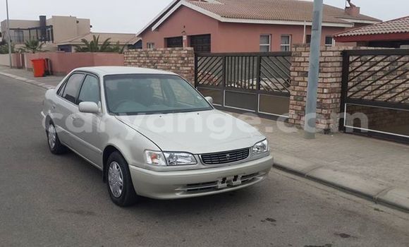Buy Used Toyota Corolla Silver Car in Windhoek in Namibia Buy Used Toyota Corolla Silver Car in Windhoek in Namibia