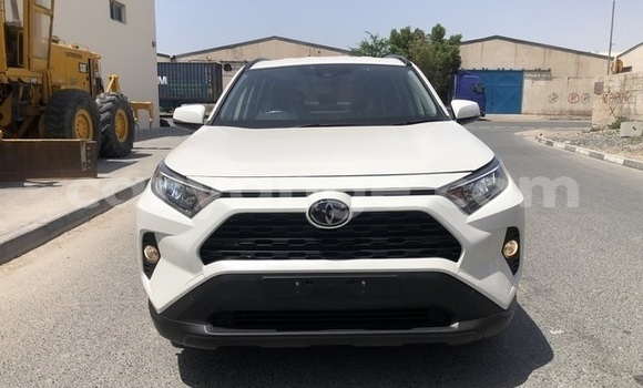 Buy Used Toyota RAV4 White Car in Windhoek in Namibia Buy Used Toyota RAV4 White Car in Windhoek in Namibia