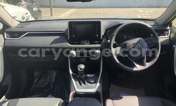 Buy Used Toyota RAV4 White Car in Aranos in Hardap Buy Used Toyota RAV4 White Car in Aranos in Hardap