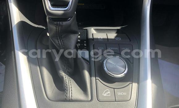 Buy Used Toyota RAV4 White Car in Aranos in Hardap Buy Used Toyota RAV4 White Car in Aranos in Hardap