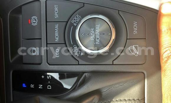 Buy Used Toyota RAV4 White Car in Aranos in Hardap Buy Used Toyota RAV4 White Car in Aranos in Hardap