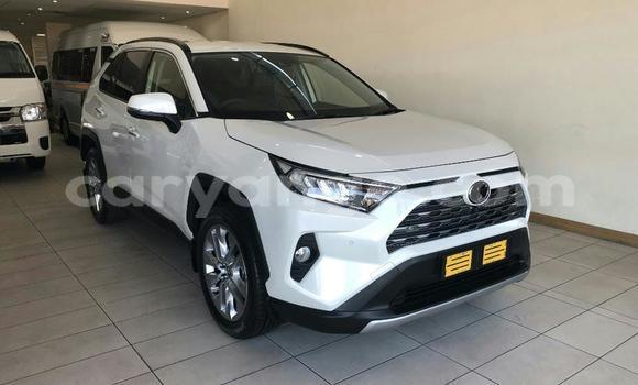 Buy Used Toyota RAV4 White Car in Aranos in Hardap Buy Used Toyota RAV4 White Car in Aranos in Hardap
