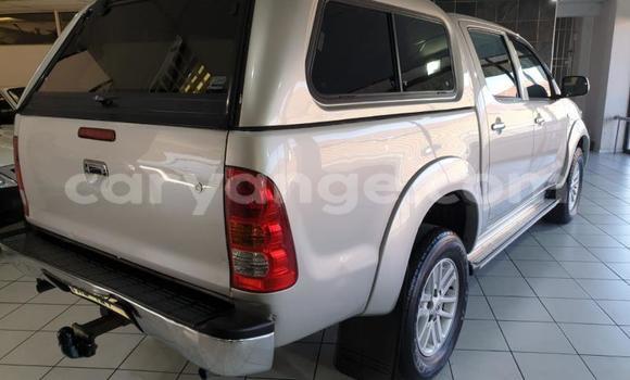Buy Used Toyota Hilux Silver Car in Import - Dubai in Namibia Buy Used Toyota Hilux Silver Car in Import - Dubai in Namibia