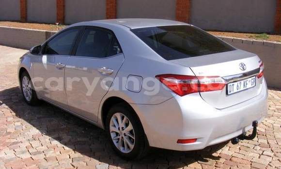 Buy Used Toyota Corolla Silver Car in Windhoek in Namibia Buy Used Toyota Corolla Silver Car in Windhoek in Namibia