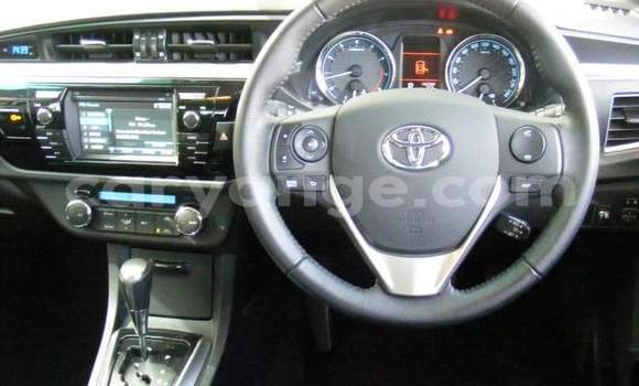 Buy Used Toyota Corolla Silver Car in Windhoek in Namibia Buy Used Toyota Corolla Silver Car in Windhoek in Namibia